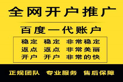 百度广告投放策略优化及成功案例解析